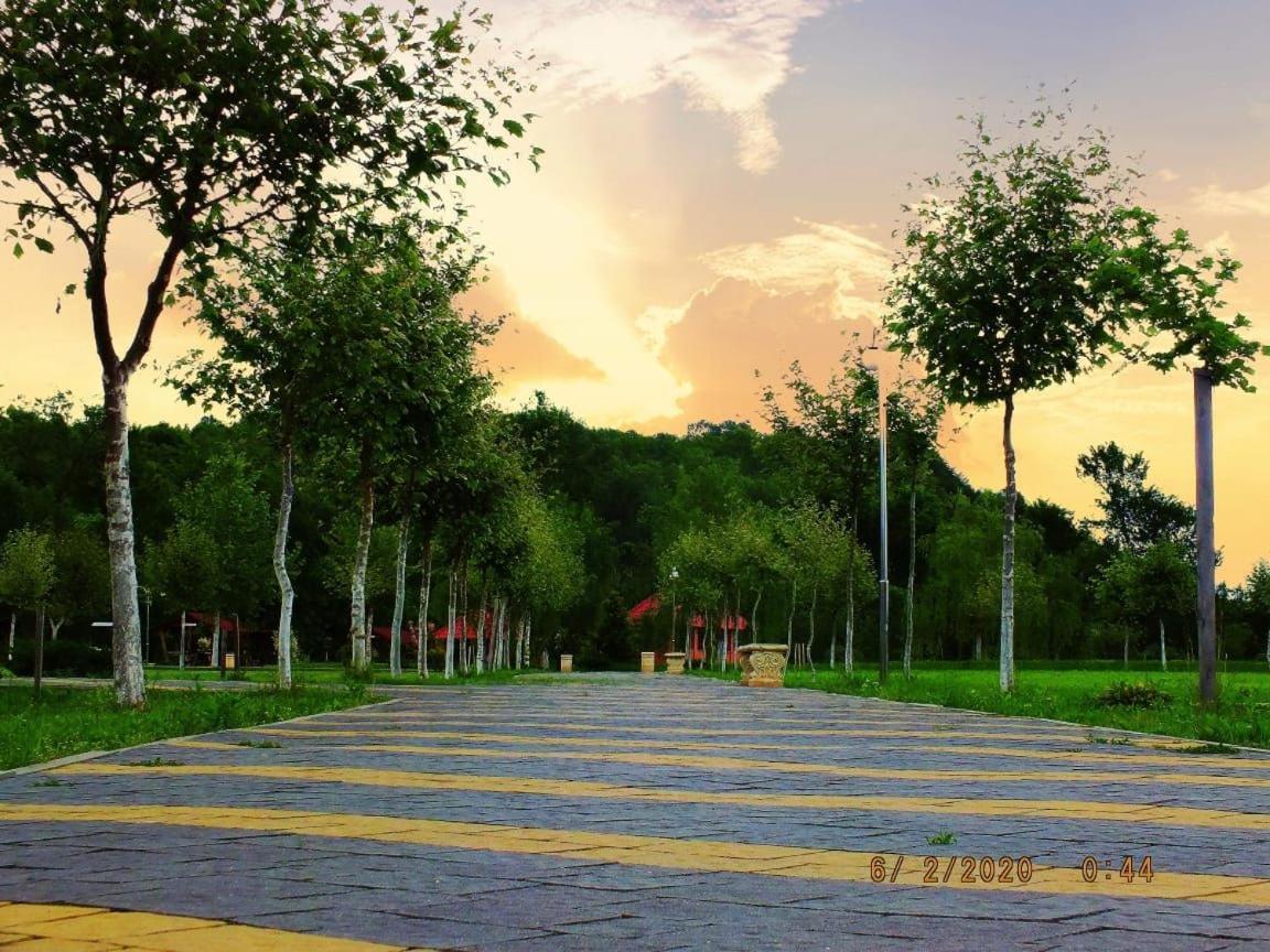 Illara Spa Hotel Irshava Dış mekan fotoğraf