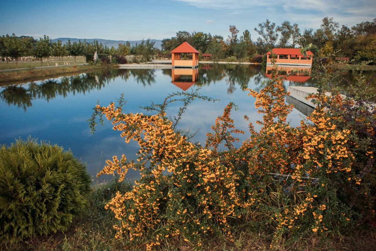 Illara Spa Hotel Irshava Dış mekan fotoğraf
